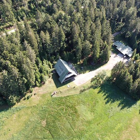 Edelfuchs-Lodge Buhlertal Ngoại thất bức ảnh