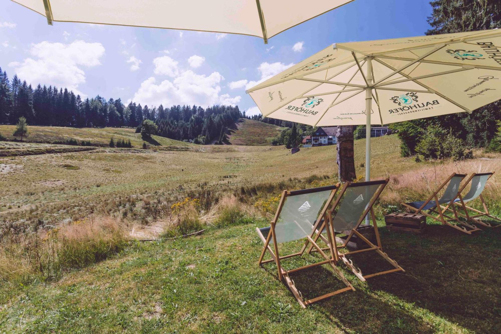 Edelfuchs-Lodge Buhlertal Ngoại thất bức ảnh